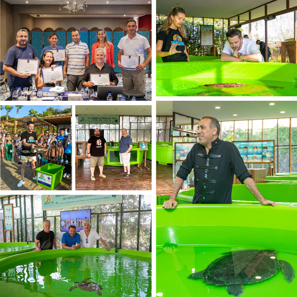 Meritta Deniz Kaplumbağaları Rehabilitasyon Merkezi